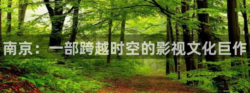 奇优影院免费看电影电视剧：南京：一部跨越时空的影视文化巨作