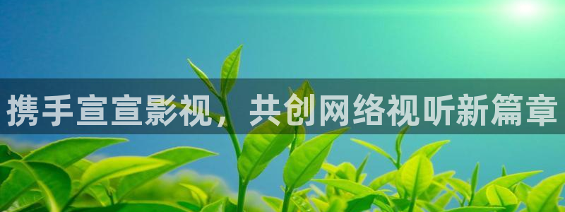 2019奇优影院：携手宣宣影视，共创网络视听新篇章