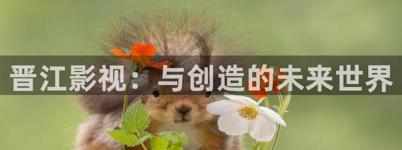 奇优手机影视电视剧免费在线观看：晋江影视：与创造的未来世界