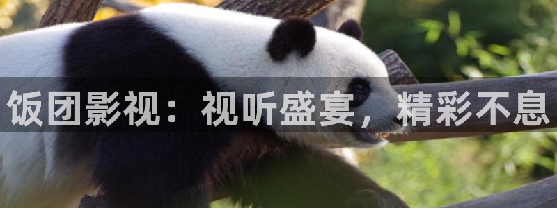 奇优影院重生：饭团影视：视听盛宴，精彩不息