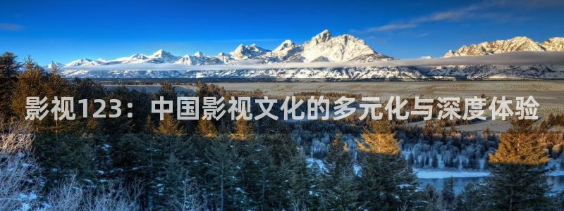 奇优影院手机理论片：影视123：中国影视文化的多元化与深度体验