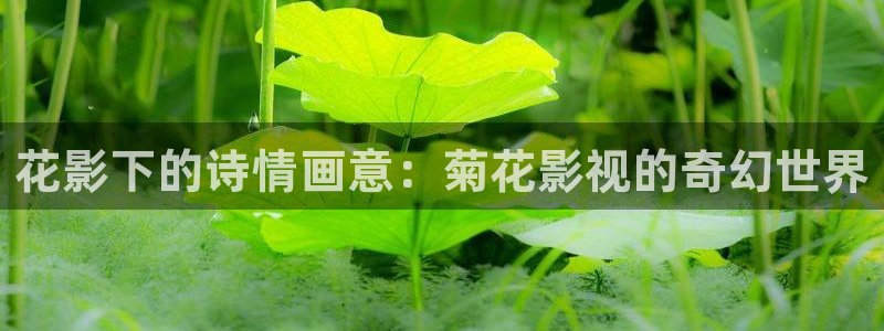 奇优影院重生：花影下的诗情画意：菊花影视的奇幻世界